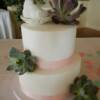 2 tier round wedding cake with Pale Pink ribbon and fresh succulents delivered to Hotel Eldorado.
