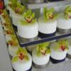 Round Miniature Wedding cakes close-up. These cakes were displayed on our small pyramid stand that is available for rental. We then added green Cymbidium Orchids to each cake for the final presentation.