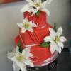 3 tier Christmas Theme Cake. This cake was made for Engaged to be Married's winter issue of their magazine. The poinsettia's were probably our most challenging flowers to make to date, but by far our favorite! Check out the winter issue for some AMAZING pictures of the cake!