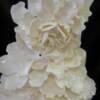Four Tier White Gardenia Petal Cake- close up of handmade gumpaste petals.