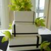 3 tier "wrapped" wedding cake with green orchids. If you look closely, you will see the hand-painted scrollwork around the edges of the black ribbon that we painted on the cake. This was also found throughout the wedding including their invitations and table decorations.
