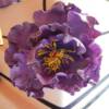 Close-up of the sugar peony made for the cake. 