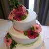 3 tiered Hot Pink and Lime Green wedding cake.