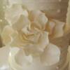 A closer look at the sugar Gardenia we made for this wedding cake. 