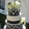 3 tier round Black and White Damask wedding cake with fresh flowers.