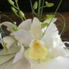 Close-up of the sugar Cymbiduim Orchids made for this wedding cake. 