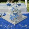 2 tiered Blue Cymbidium Orchid Cake. This two tier cake was covered in white fondant with a thick cream ribbon around its base and hand-piped detailing above the ribbon. We then made these beautiful Cymbidium Orchids out of Sugar Paste, or Gum Paste...in otherwords, they are completely edible!