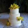 Yellow Cymbidium Orchid with Pearl Banding Wedding Cake. This three tiered round cake was made with our Vanilla Chiffon cake and filled with Bavarian Cream.