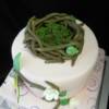 Bird Baby Shower Cake.
A view of the birds nest made out of fondant that sits on top of this cake. 