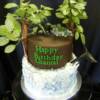 2 tiered forest/ ocean lovers birthday cake. 