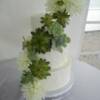 3 tier Buttercream covered wedding cake with fresh succulents. 