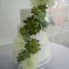 Close up of the Buttercream covered 3 tier wedding cake with fresh succulents