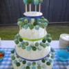 Blue and Green Cake Pops for a back yard, local wedding. The different decorated cake pops were displayed on our Cake Pop Tower with ribbon matching the wedding colors around the edge of each tier. 