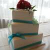3 tier sqaure, off-set wedding cake with aqua blue ribbon and red fresh flowers.