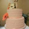 2 tier round Pale Pink wedding cake with song lyrics written on the cake and fresh flowers added on delivery. The song "Faithfully" by Journey was written on the cake as it was this couple's favorite song!